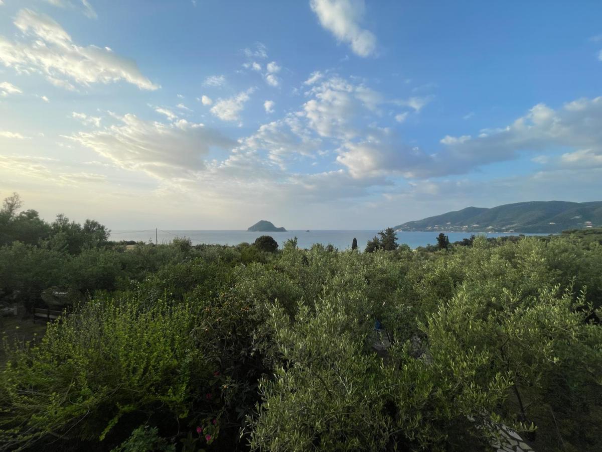 Villa Anta House By The Sea Lithakia (Zakynthos) Exterior foto